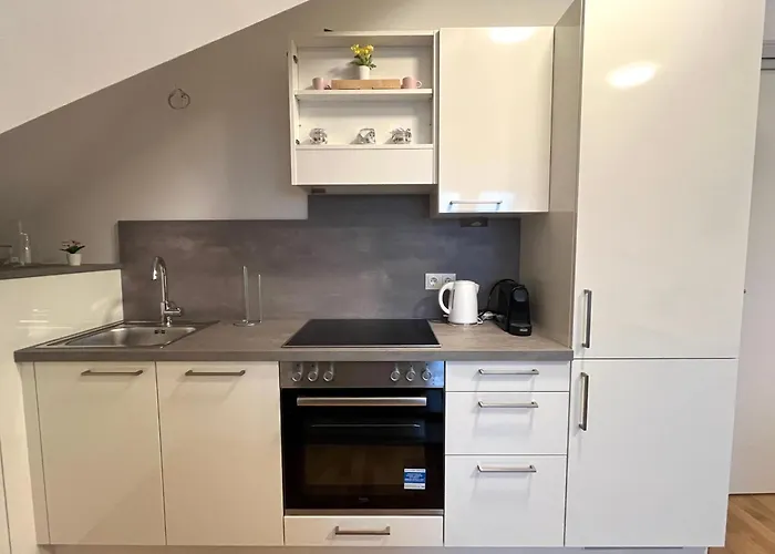 Free Parking / Brandnew With Air Condition And Balcony Bécs